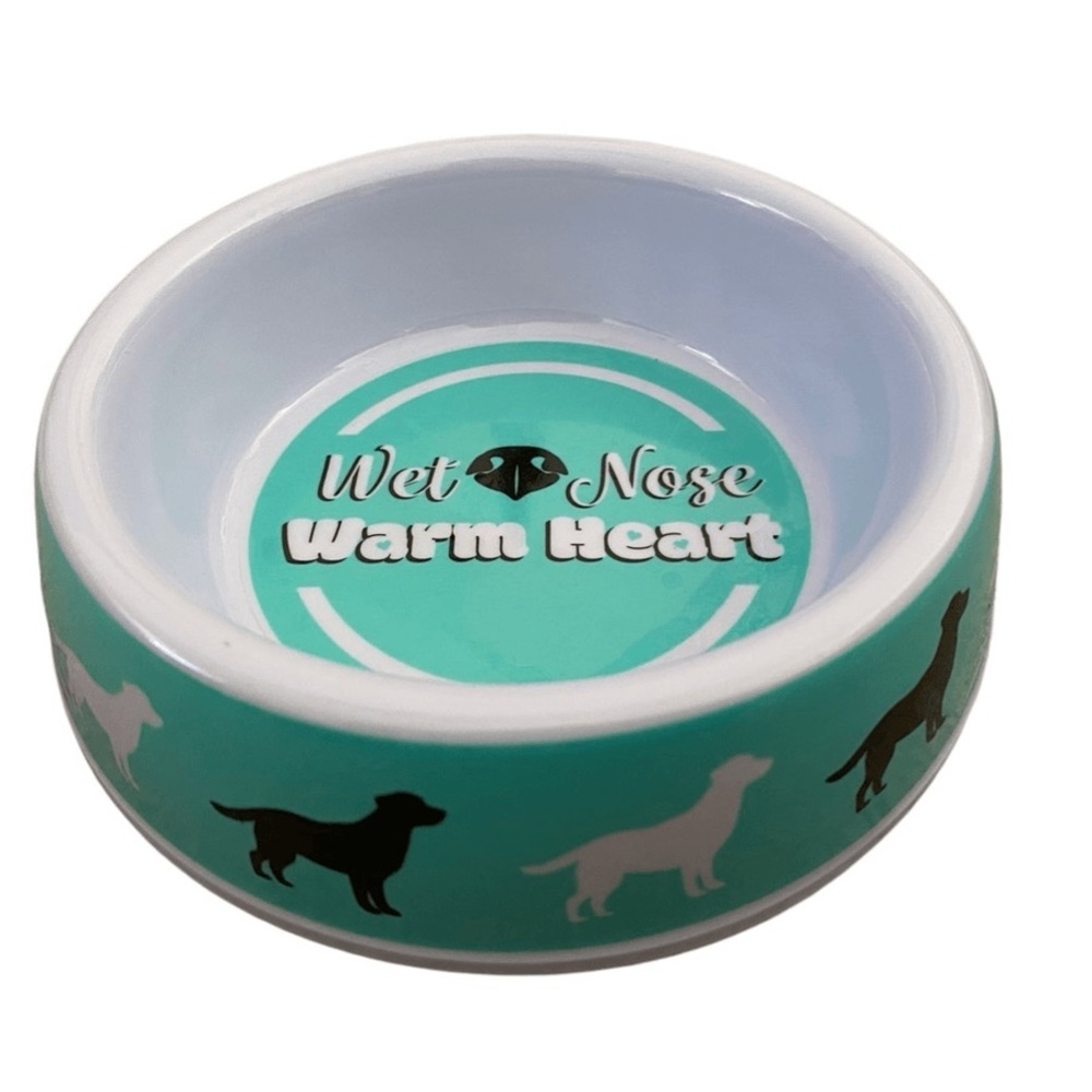 Teal and White Dog Bowl